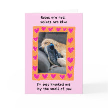 Funny Golden Retriever met Shoe Valentijns