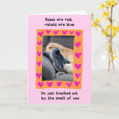 Funny Golden Retriever met Shoe Valentijns Kaart (Gele Bloem)