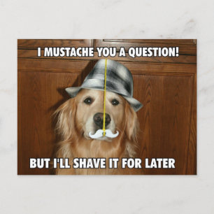 Funny Golden Retriever Mustache... Briefkaart
