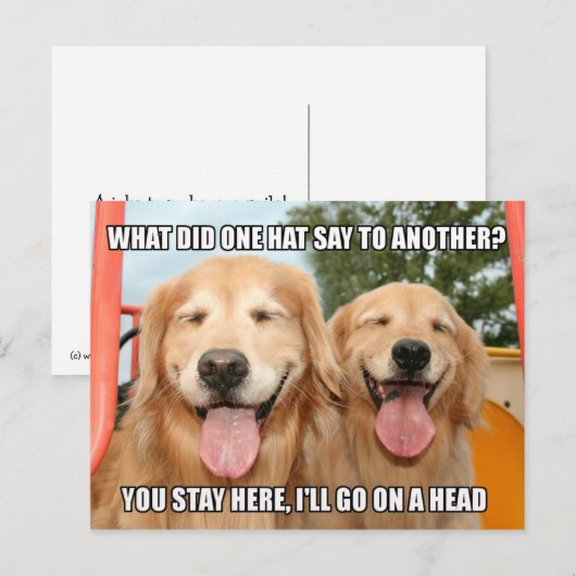 Funny Golden Retriever Pet Joke Meme Briefkaart (Voorkant / Achterkant)