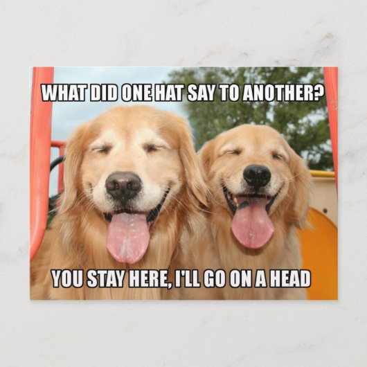 Funny Golden Retriever Pet Joke Meme Briefkaart (Voorkant)