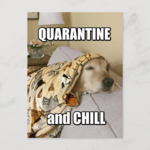 Funny Golden Retriever Quarantine en Chill Joke Briefkaart