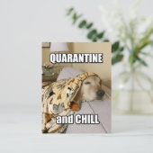 Funny Golden Retriever Quarantine en Chill Joke Briefkaart (Staand voorkant)