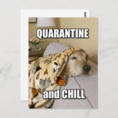 Funny Golden Retriever Quarantine en Chill Joke Briefkaart (Voorkant / Achterkant)