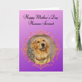 Funny Golden Retriever regeert het huis Moederdag Kaart