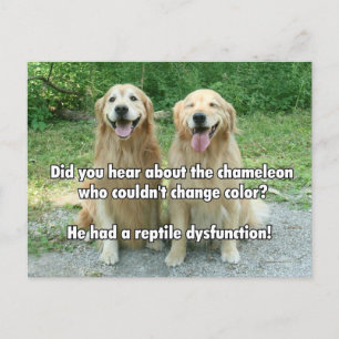 Funny Golden Retriever Reptile Dysfunction Joke Briefkaart