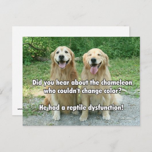 Funny Golden Retriever Reptile Dysfunction Joke Briefkaart (Voorkant / Achterkant)