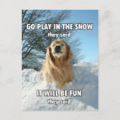 Funny Golden Retriever speelt in Sneeuwthema Briefkaart (Voorkant)