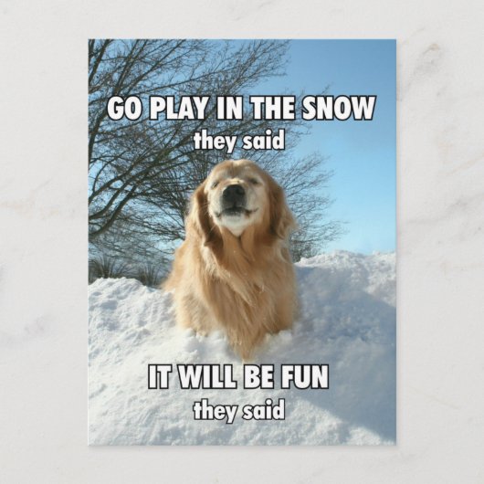 Funny Golden Retriever speelt in Sneeuwthema Briefkaart (Voorkant)