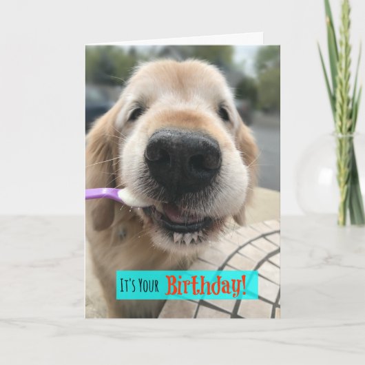 Funny Golden Retriever Treat Yo Self Birthday Kaart (Voorkant)