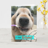 Funny Golden Retriever Treat Yo Self Birthday Kaart (Gele Bloem)