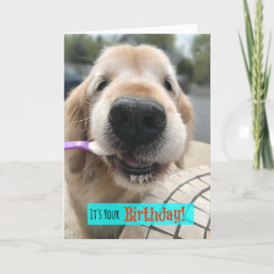 Funny Golden Retriever Treat Yo Self Birthday Kaart