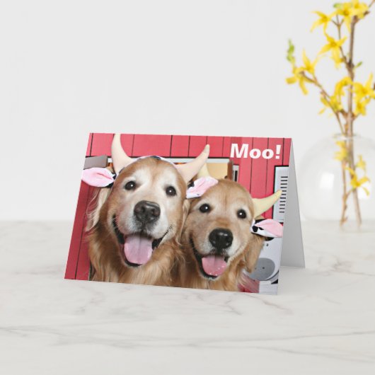 Funny Golden Retrievers in Koe Costumes Halloween Kaart (Gele Bloem)