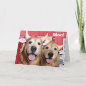 Funny Golden Retrievers in Koe Costumes Halloween Kaart (Voorkant)
