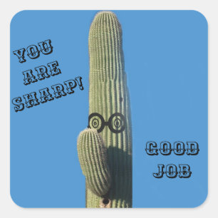 Funny Good Job Cactus Humoureus Arizona Vierkante Sticker