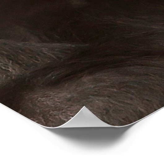 Funny Gorilla aangepast poster (Hoek)