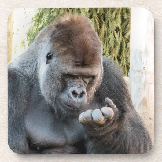 FUNNY GORILLA BIER ONDERZETTER (Voorkant)