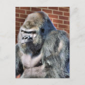 FUNNY GORILLA BRIEFKAART (Voorkant)