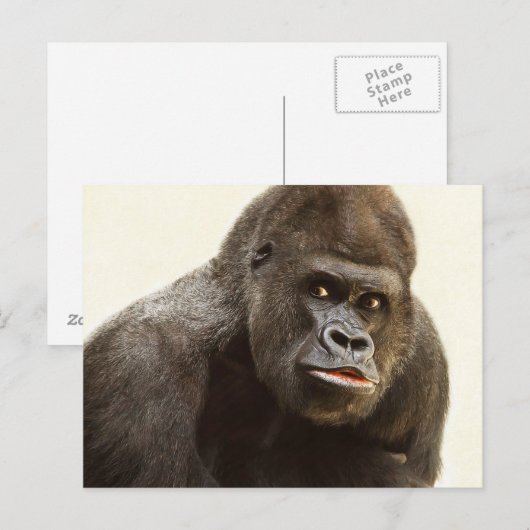 Funny Gorilla briefkaart (Voorkant / Achterkant)