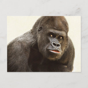 Funny Gorilla briefkaart