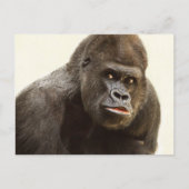 Funny Gorilla briefkaart (Voorkant)