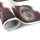 Funny Gorilla Chimp Monkey Cadeaupapier (Rol Hoek)