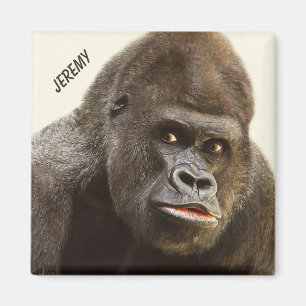 Funny Gorilla, douanenaam magnet