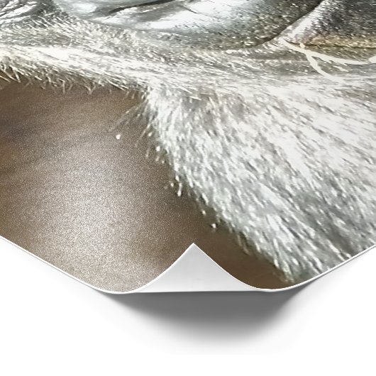 FUNNY GORILLA FOTO AFDRUK (Hoek)