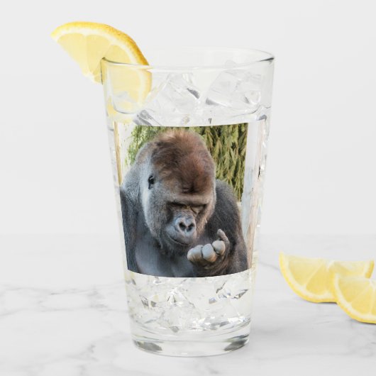 FUNNY GORILLA GLAS (Voorkant ijs)
