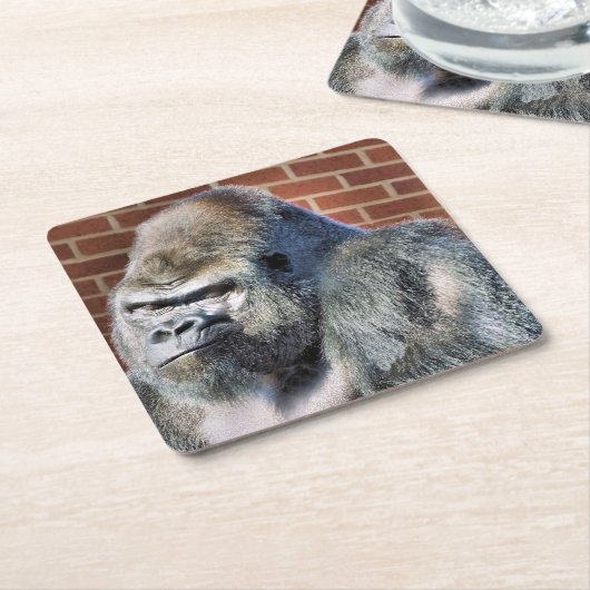 FUNNY GORILLA KARTONNEN ONDERZETTERS (Schuin)