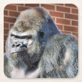 FUNNY GORILLA KARTONNEN ONDERZETTERS (Voorkant)