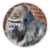 FUNNY GORILLA KERAMISCHE KNOP (Voorkant)