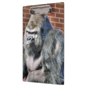 FUNNY GORILLA KLEMBORD (Links)