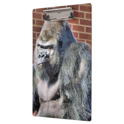 FUNNY GORILLA KLEMBORD (Links)