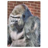 FUNNY GORILLA KLEMBORD (Achterkant)