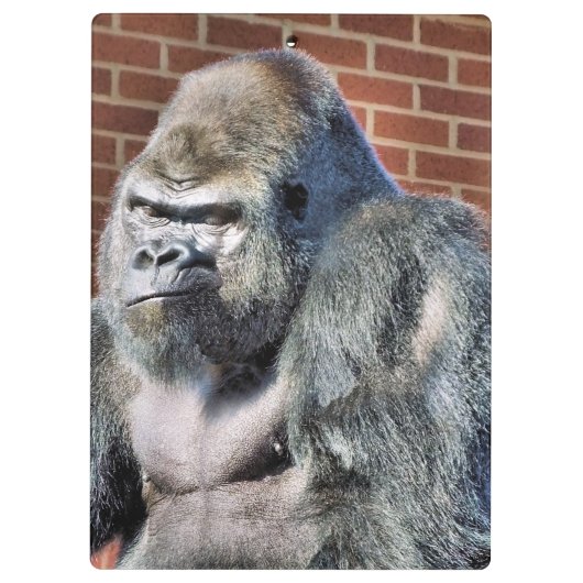 FUNNY GORILLA KLEMBORD (Achterkant)