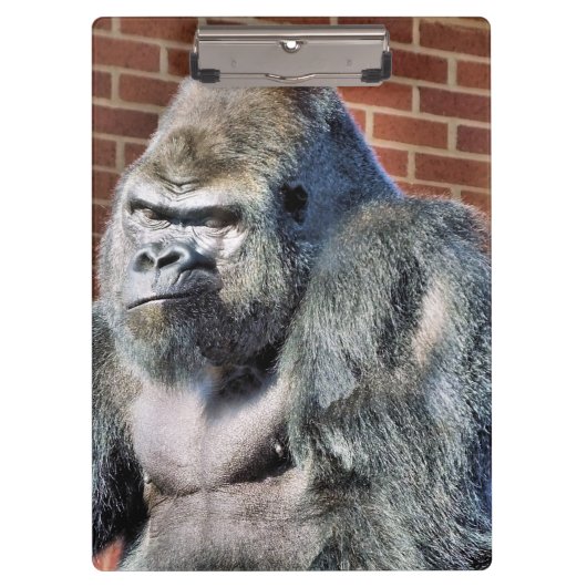 FUNNY GORILLA KLEMBORD (Voorkant)