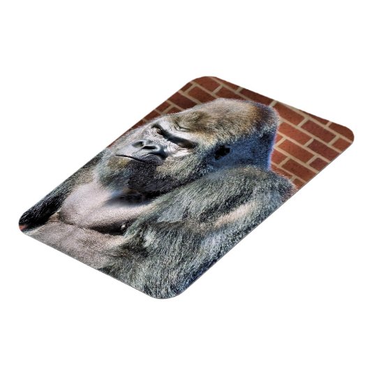 FUNNY GORILLA MAGNEET (Linkerzijde)