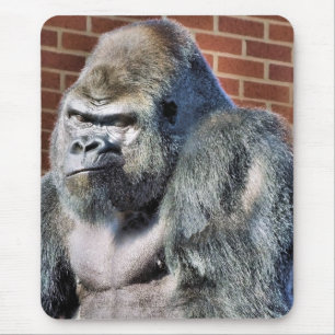 FUNNY GORILLA MUISMAT