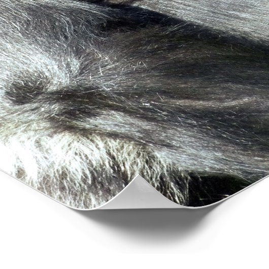 FUNNY GORILLA POSTER (Hoek)