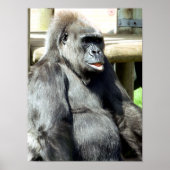 FUNNY GORILLA POSTER (Voorkant)