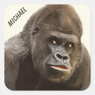 Funny Gorilla-stickers Vierkante Sticker
