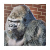 FUNNY GORILLA TEGELTJE (Voorkant)