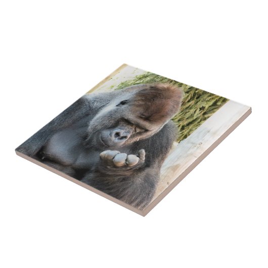 FUNNY GORILLA TEGELTJE (Zijkant)