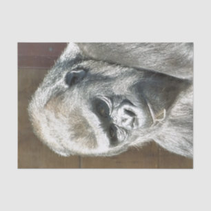 FUNNY GORILLA TISSUEPAPIER