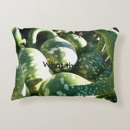 Funny Gourds Decoratief Kussen