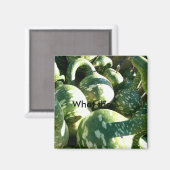Funny Gourds/What the.. Quote Magnet (Voorkant / Achterkant)