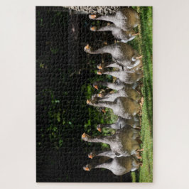 Funny gray ganzen in de Dordogne, Frankrijk Legpuzzel