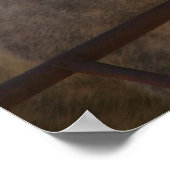 Funny Gray Mare Poster (Hoek)