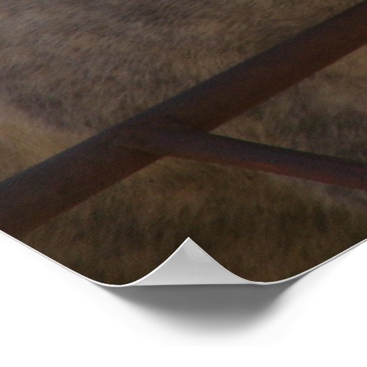 Funny Gray Mare Poster (Hoek)